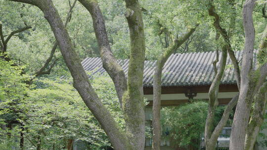 园林建筑庭院