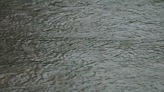 水面雨滴涟漪视频素材模板下载