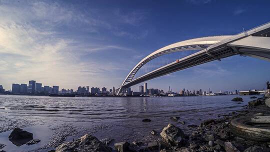 4k上海地标延时摄影南浦大桥卢浦大桥世博园