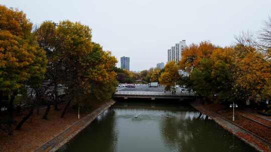 天津运河秋季城市公园风光