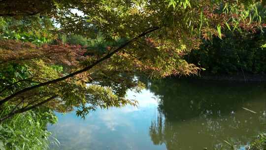 重庆公园夏日阳光蓝天空镜