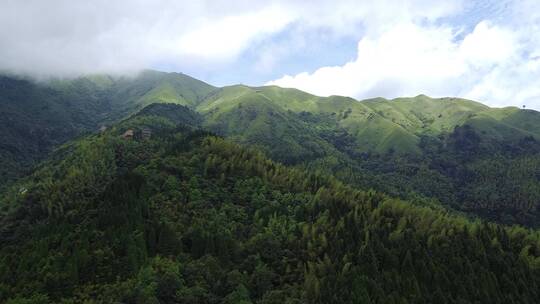 江西武功山山林