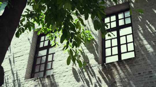 建筑墙面窗户树影视频素材模板下载