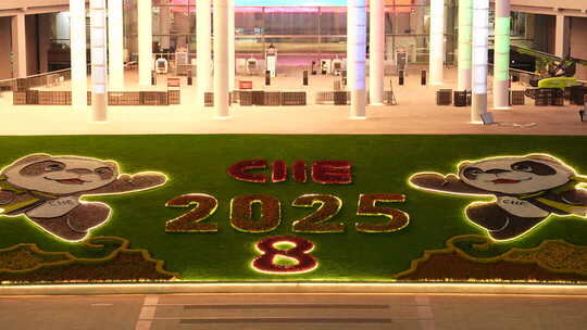 2025第八届进博会 国家会展中心 夜景 空镜