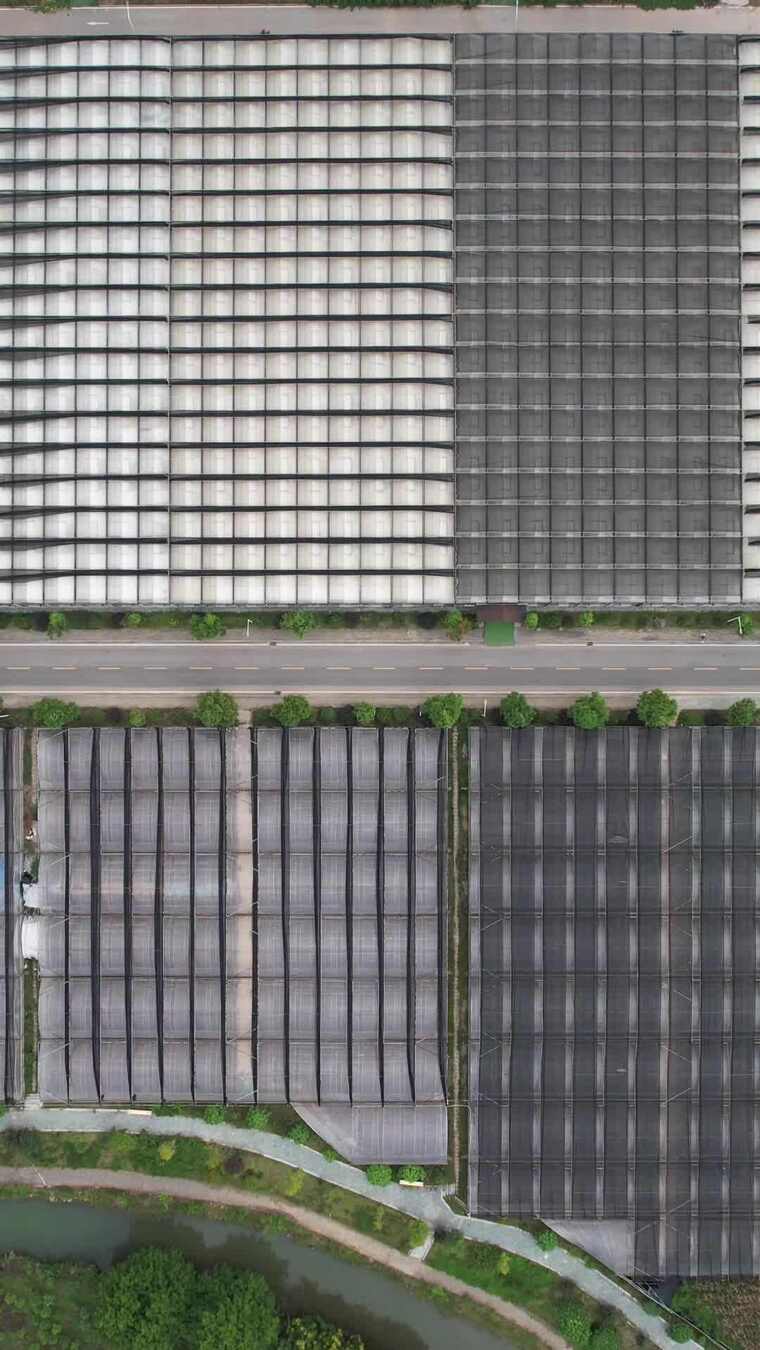 竖版航拍现代农业大棚蔬菜种植基地