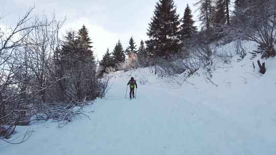 孩子用旅行滑雪板上的海豹皮爬上雪路