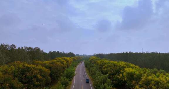 乡村道路航拍