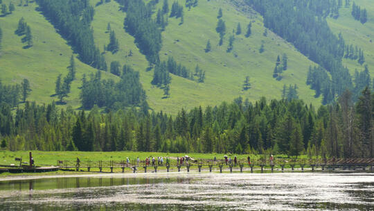 新疆喀纳斯高山湖景游客自然风光