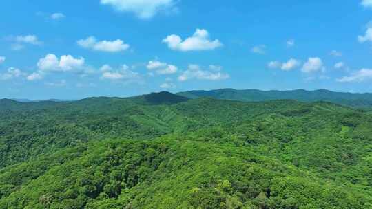 辽宁抚顺新宾青山绿水乡村振兴