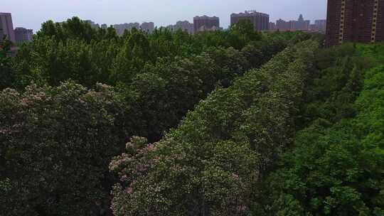 河南济源城市天际线航拍