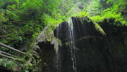 成都青城山后山峡谷森林步道溪流自然景观