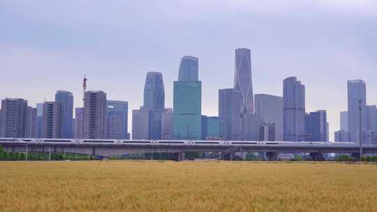 杭州城市建筑与麦田高铁同框风景