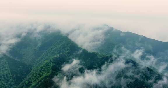 大自然森林氧吧竹林竹海竹山云海翻滚航拍