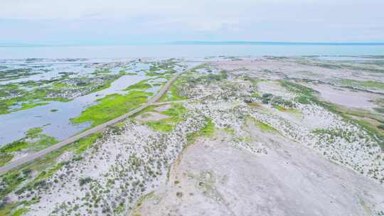 新疆阿勒泰乌伦古湖沼泽湿地自然风景航拍