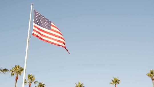 美国加州洛杉矶棕榈和美国国旗高清在线视频素材下载