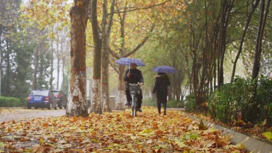 秋天街边雨景升格视频素材模板下载