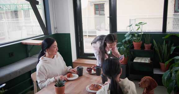 食物女人拍照狗