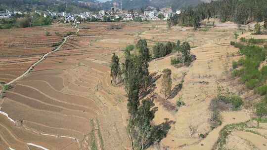 云南山区农业种植耕地航拍