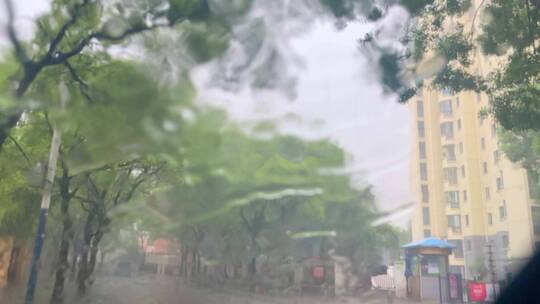 下暴雨 下雨天 雨中行人 车雨水 意境实拍