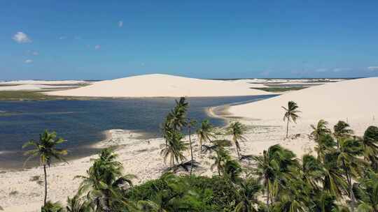 巴西Jericoacoara。巴西东北部度假旅行的热带风景。