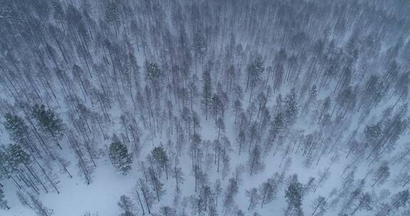 航拍大兴安岭春季降雪山林雾凇