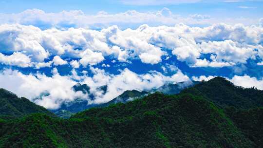 茶山 山川 云海 云南原始森林 大好河山