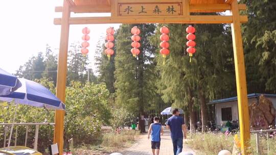 门牌《水上森林》大全景