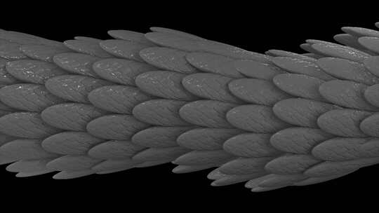 水平3D管由银色羽毛在黑色背景上发光和流