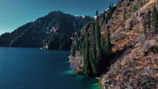 吉尔吉斯斯坦，高山，树木，旅游