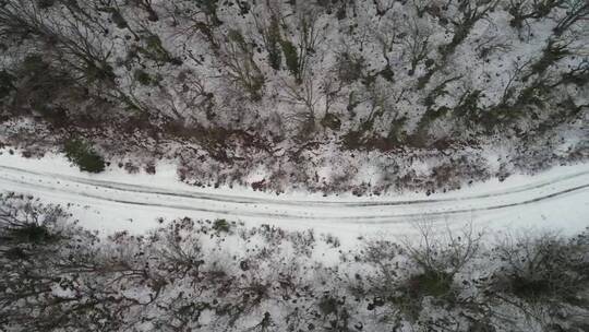 林地之间积雪覆盖的小径