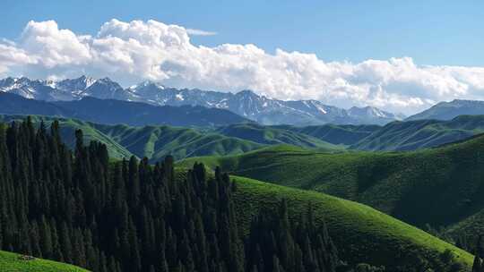 新疆唯美震撼森林雪山航拍3