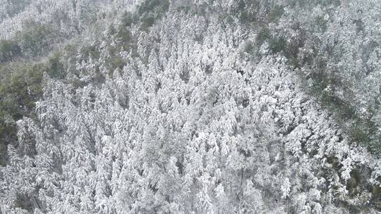 航拍南方丘陵山川森林美丽乡村雪景