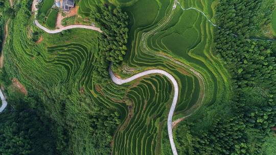 遂川梯田航拍