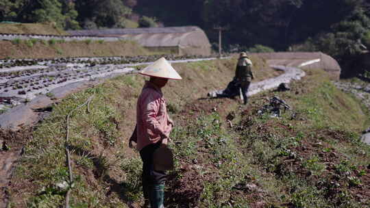 泰国村庄果园里的农民耕种土地