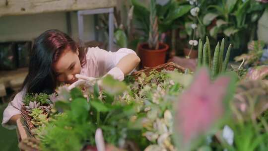 看植物的女人