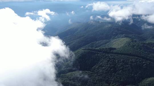 拍摄云雾山脉缭绕的森林
