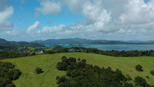新西兰岛屿湾风景如画的鸟瞰图，无人机展示了棕榈树郁郁葱葱的山丘