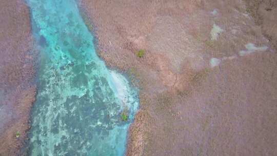 唯美航拍川西九寨沟芦苇海河流湿地湖水彩林