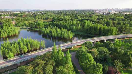 成都白鹭湾湿地公园和城市绿道白昼航拍实时