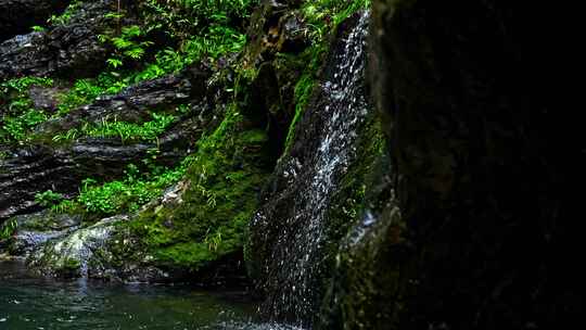 山泉水流水滴森林水流大自然酒水唯美广告