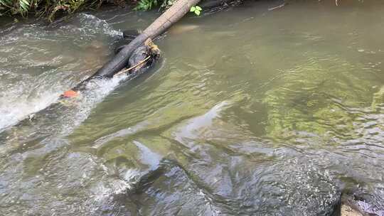 小溪河道水流