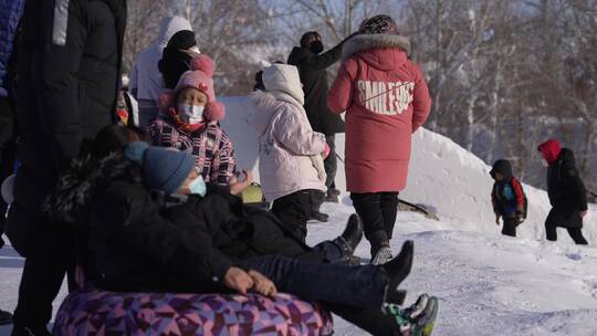 新疆阿勒泰桦林公园冬景视频素材模板下载