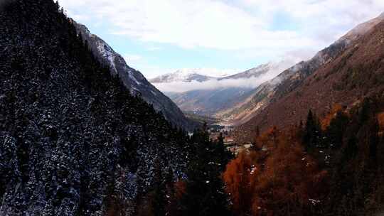 四川阿坝岷山山脉初冬雪后风光