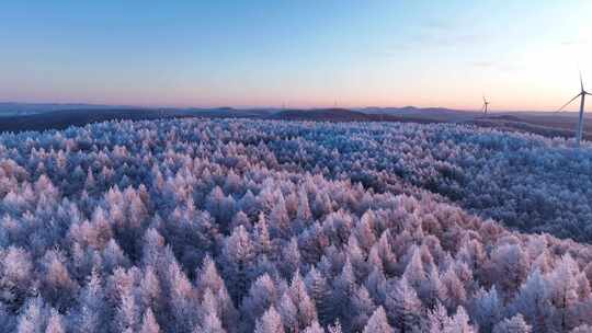 大兴安岭冬天雪景雾凇雪松林海雪原银装素裹