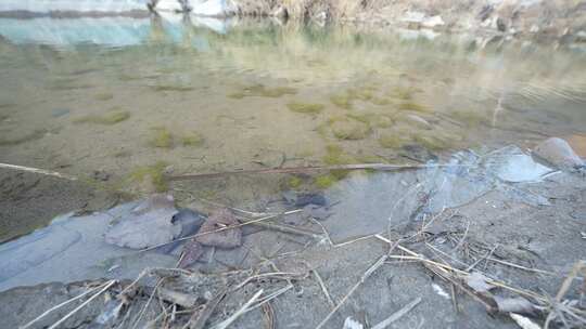 河滩鹅卵石特写