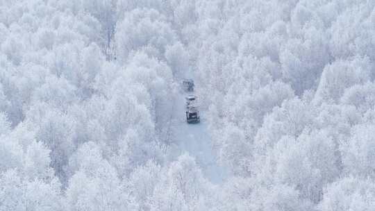 4K呼伦贝尔雪原雾凇车队行驶8