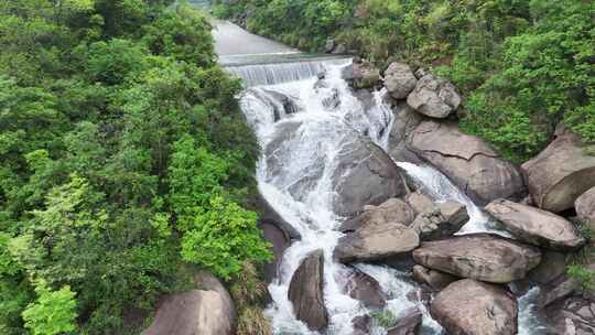 春季山涧流水航拍视频