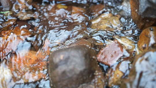 流水 小溪 生命源泉 流动的水 慢放 清水