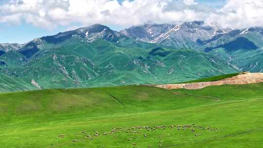 新疆震撼地貌雪山羊群航拍（托乎拉苏）