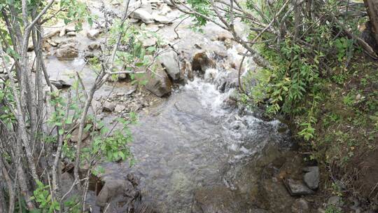 香格里拉牧场农场溪水河流风光风景